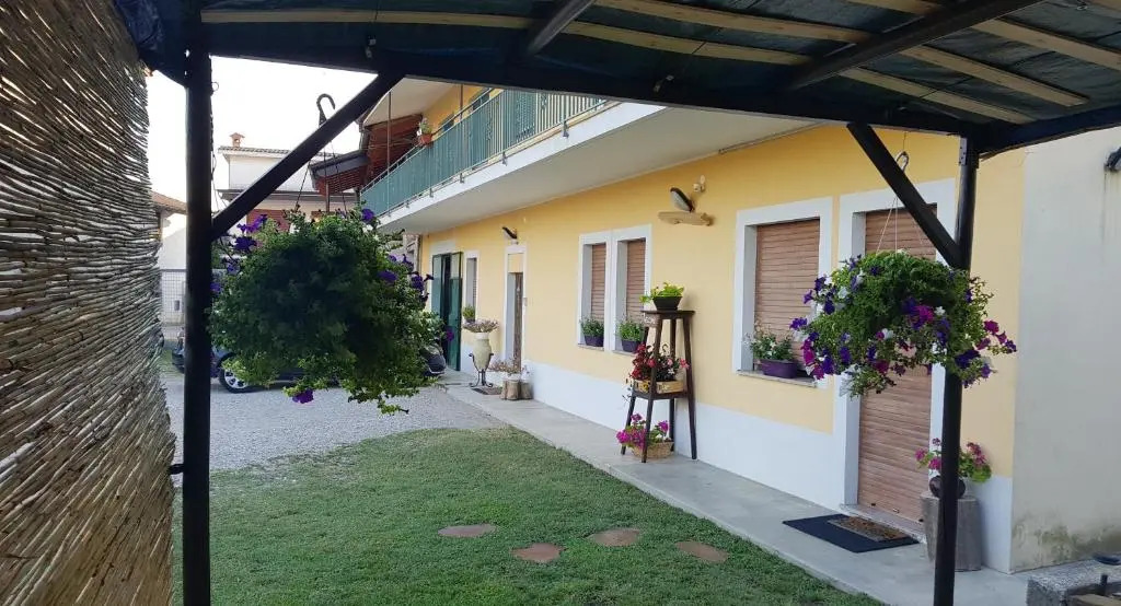 Sunny's House