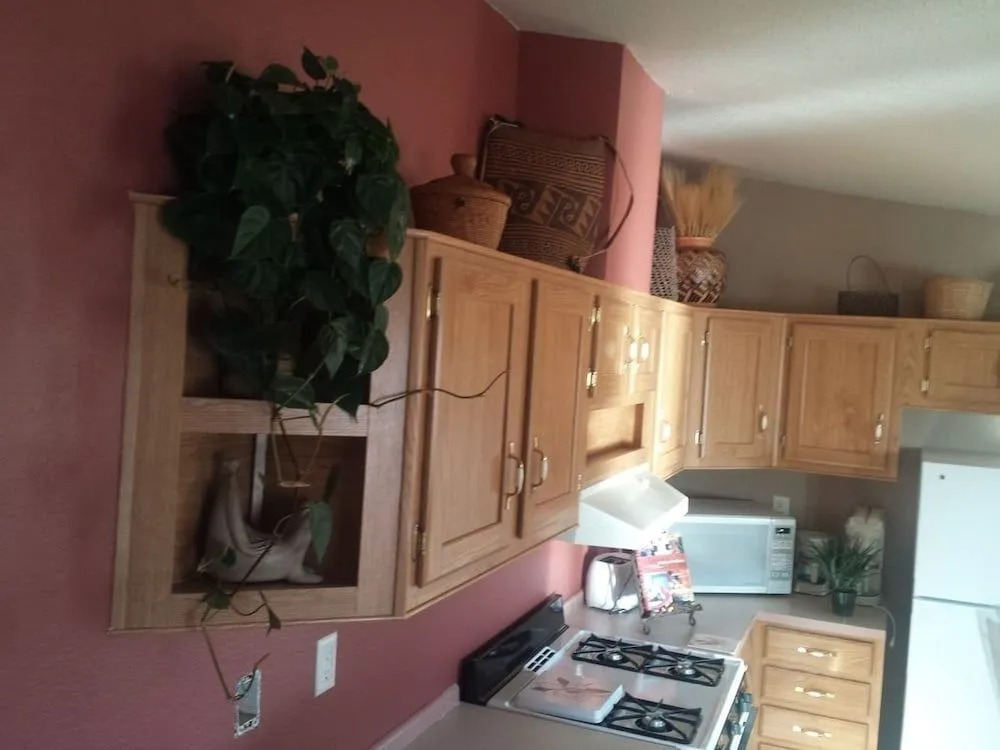 Stone Lizard Vacation Rentals