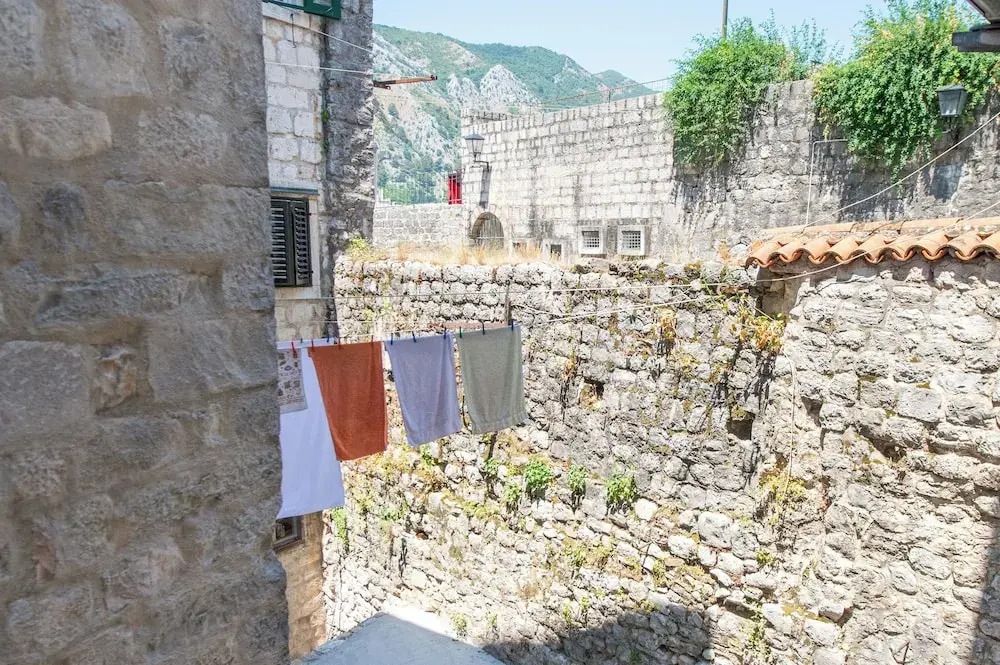 Nest Ozana