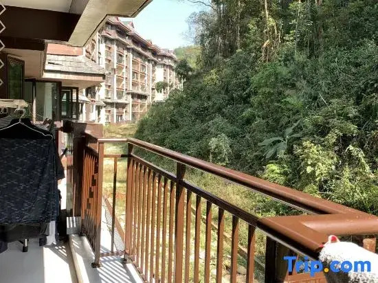 Zixi Homestay (Dai ancient town )