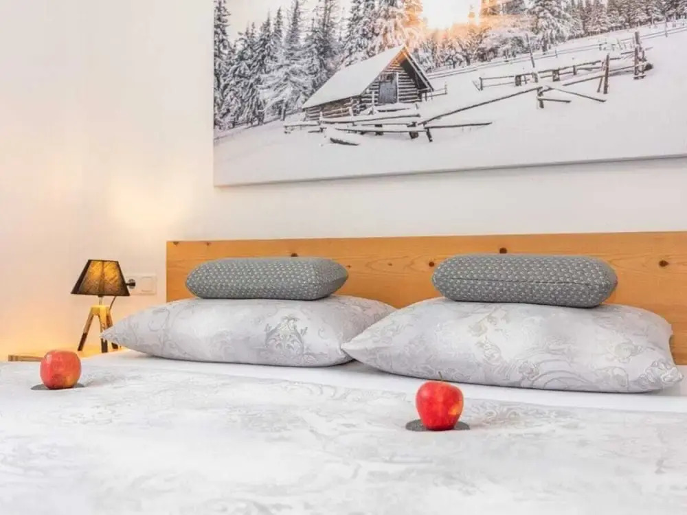 Maximilian Apartmenthaus 2-6 People