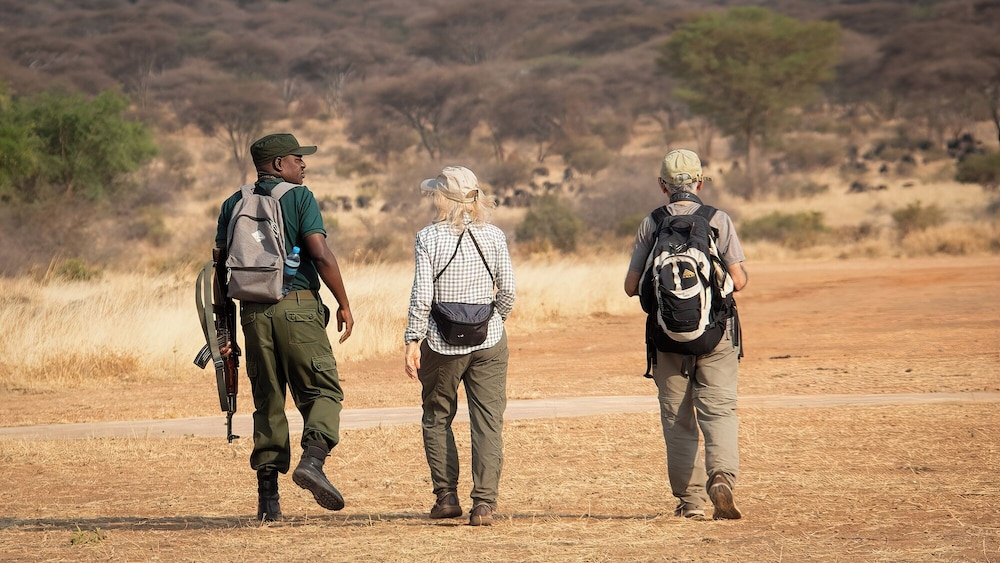 Tarangire Greenland Retreat