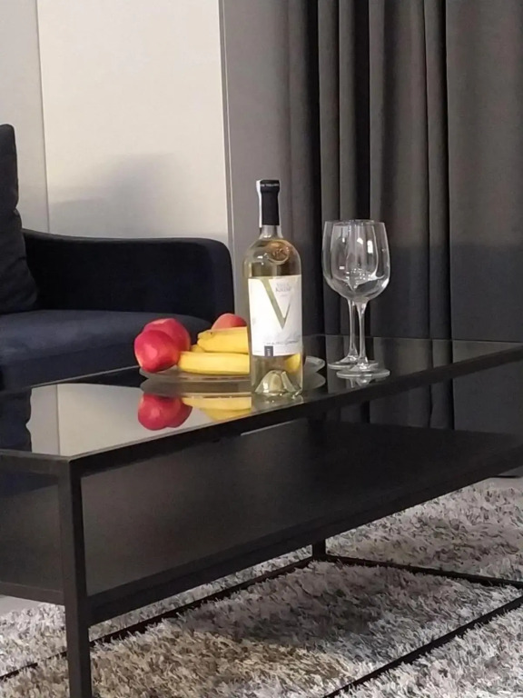 NEW modern apartment