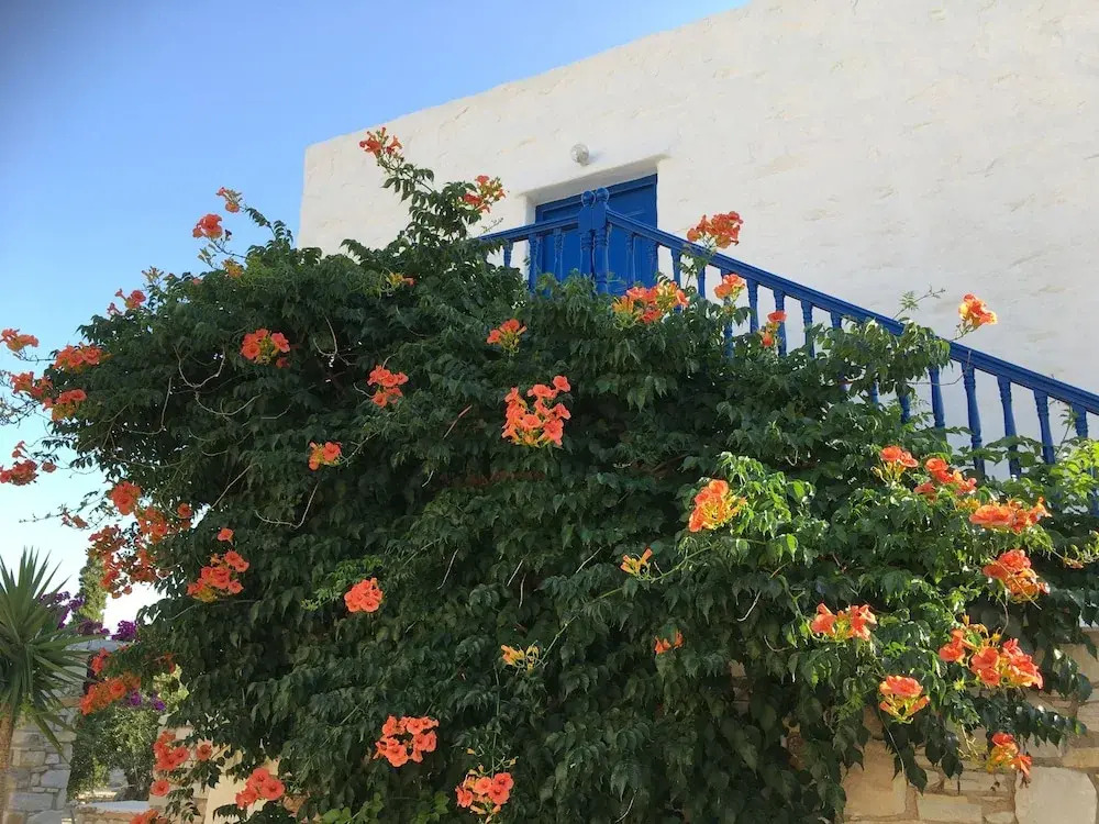 Anezina Village