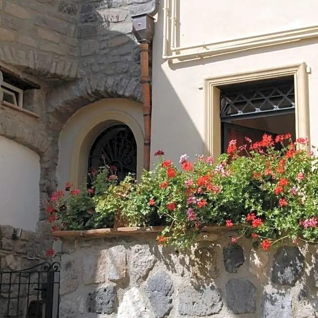 Agrifoglio B&B