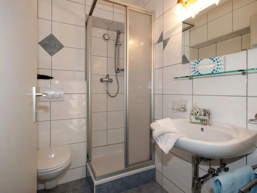 Apartment Falkner Längenfeld 12167