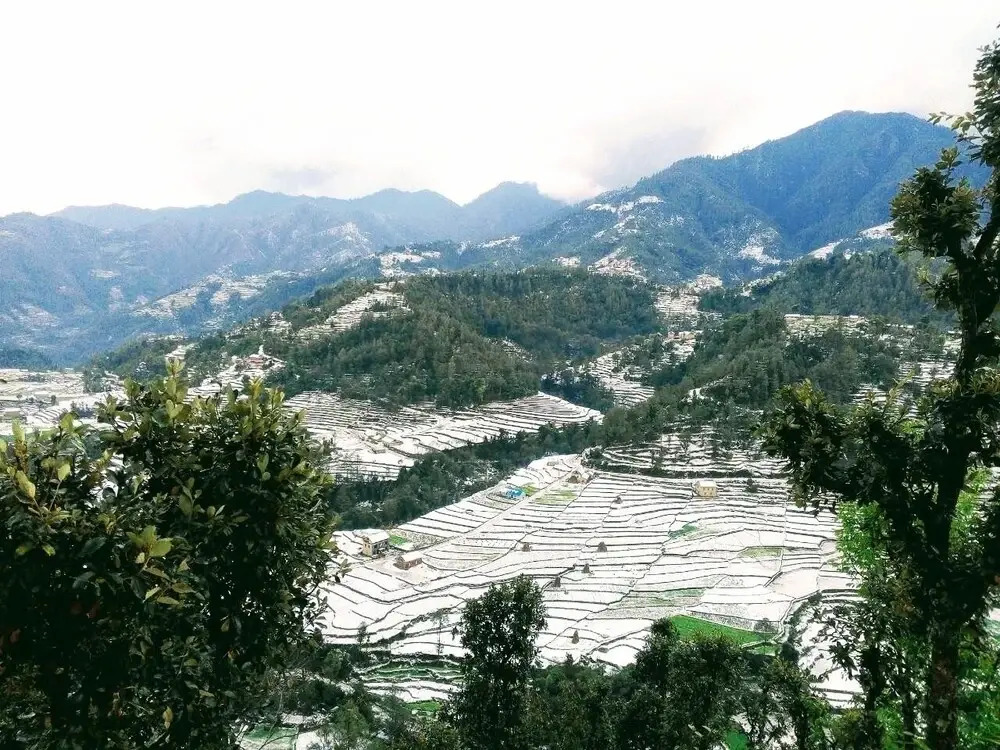 Retreat at Damaar