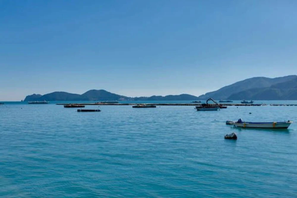Geoje New Happy Pension
