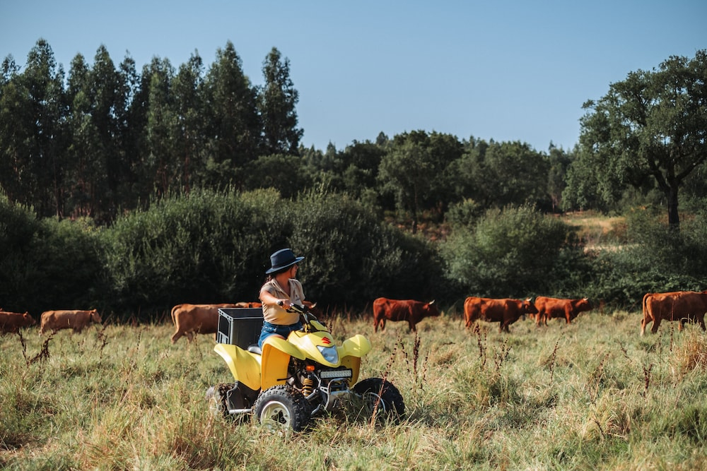 Herdade dos Cordeiros