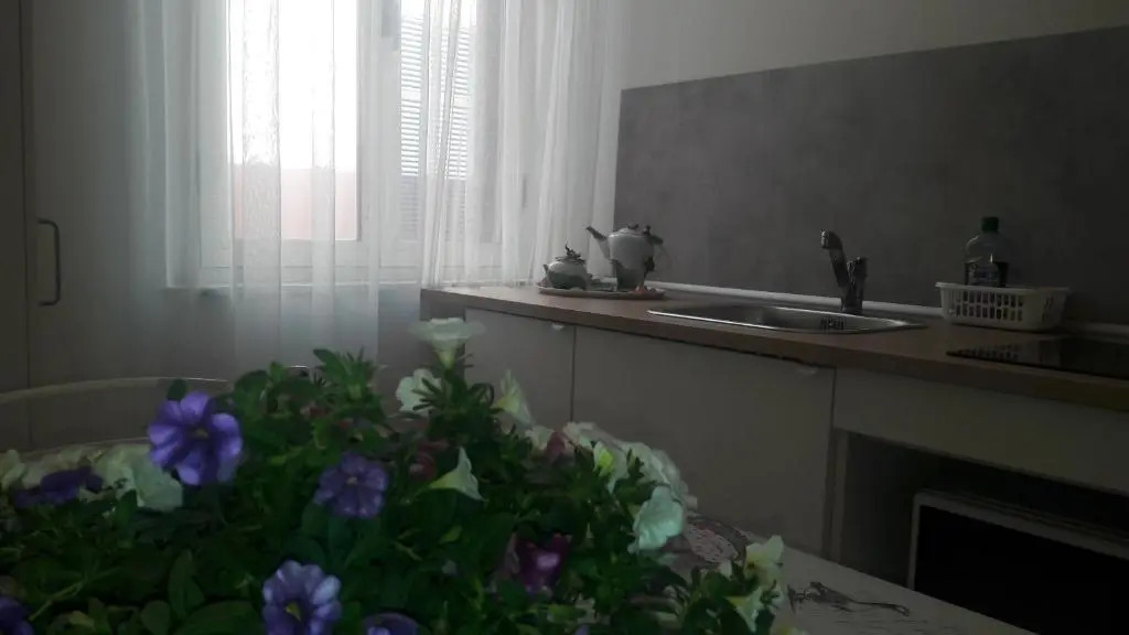 Grifo Apartment