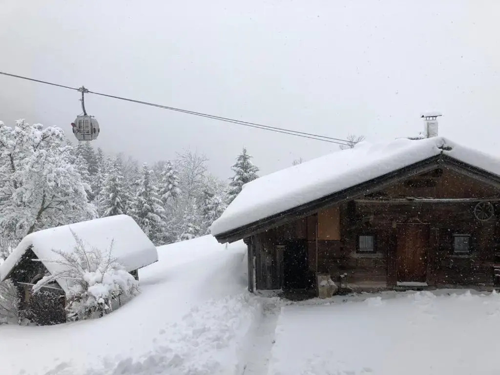 Wölzenberg Alm