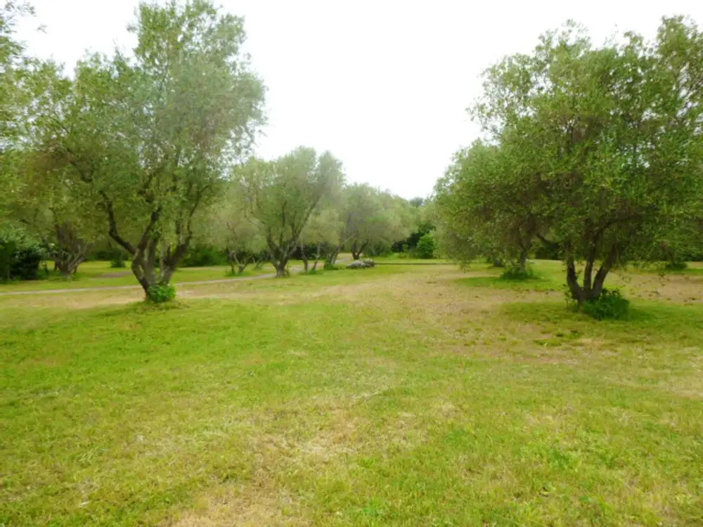 House With one Bedroom in Patrimonio, With Wonderful Mountain View and Enclosed Garden - 3 km From the Beach