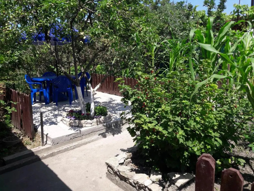 Guest house on Alania St.