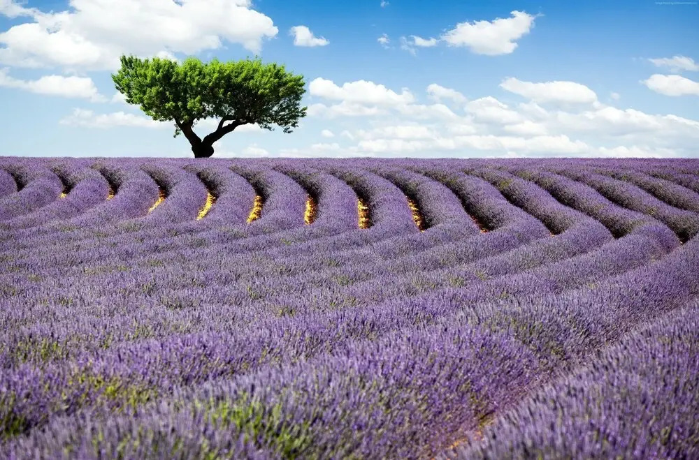 VILLAS DU LUBERON Mas des Gourmandises