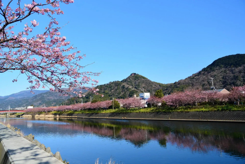 Izu Kogen Umi no Mieru Kogen no Auberge Parterre