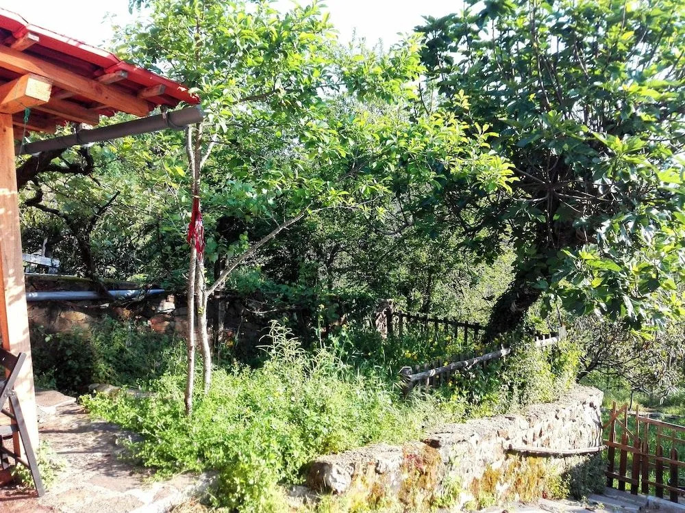 Retiro de Gondramaz – Entire 200 m² Nature Retreat