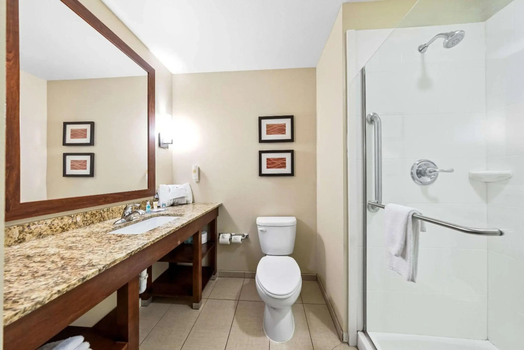 Comfort Inn & Suites West - Medical Center