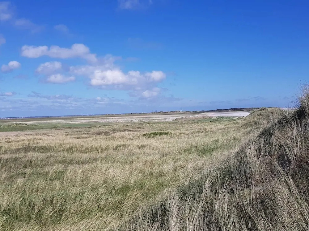 4 star holiday home in Blåvand