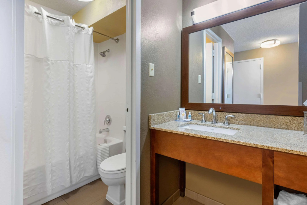 Comfort Inn Memphis Downtown