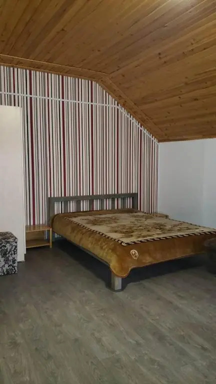 Cozy apartment in Mgzavrebi Hotel