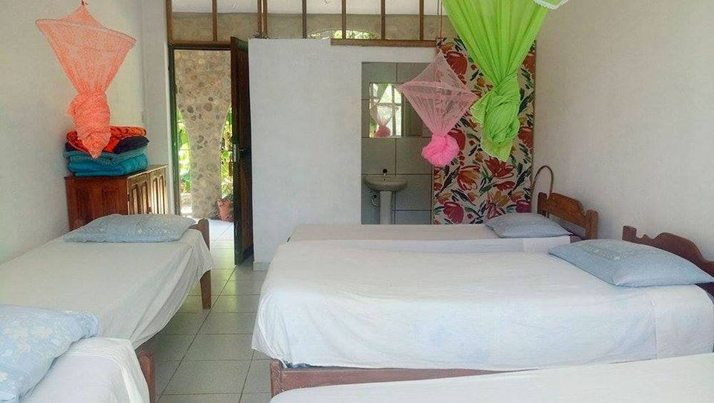 Lobo Hostel Rurrenabaque