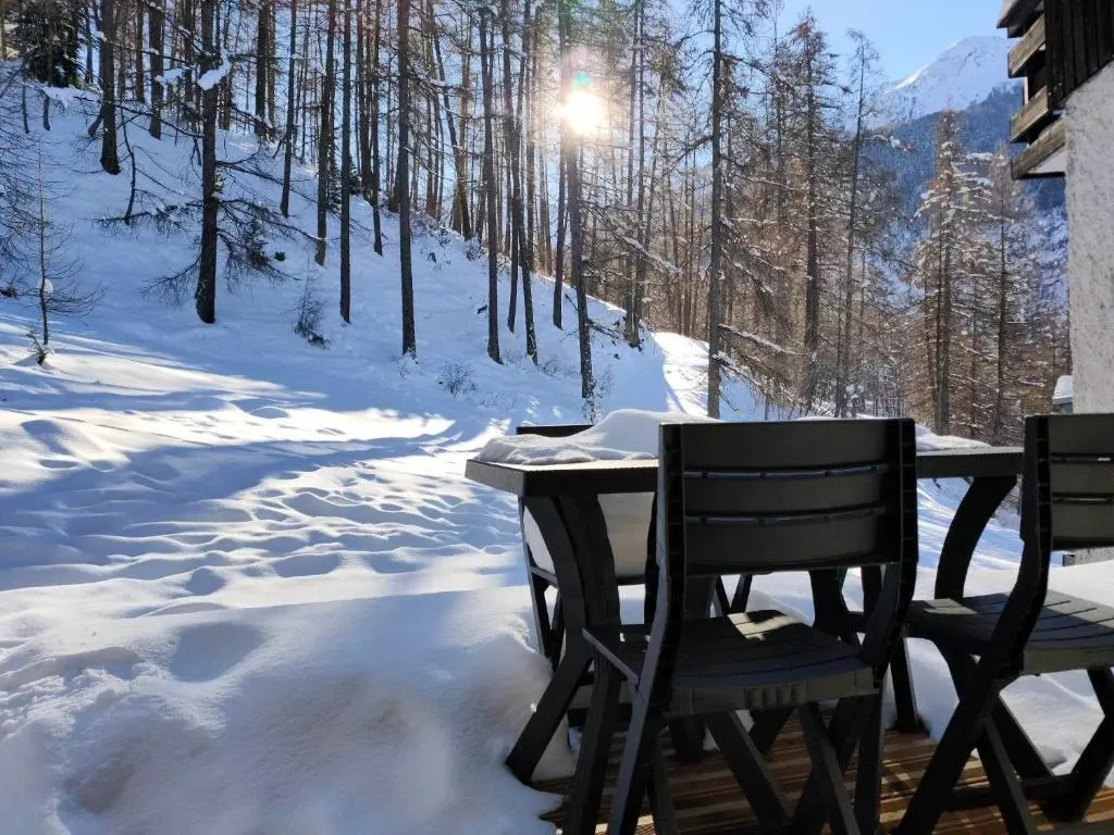 L'Orée des Bois - Studio avec terrasse au calme