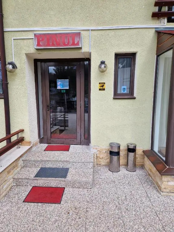 Vila Pinul si Mesteacanul