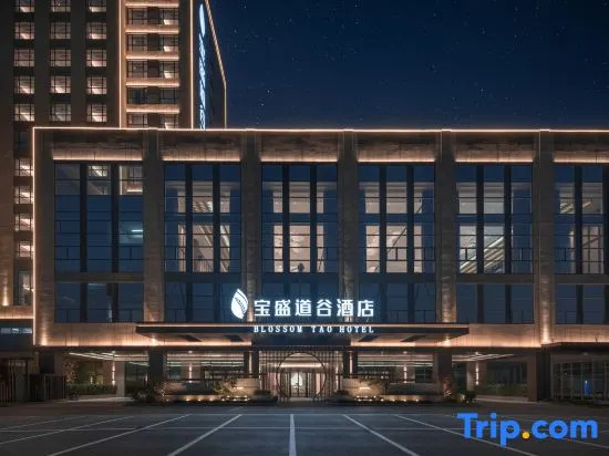 Tai'an Blossom Tao Hotel