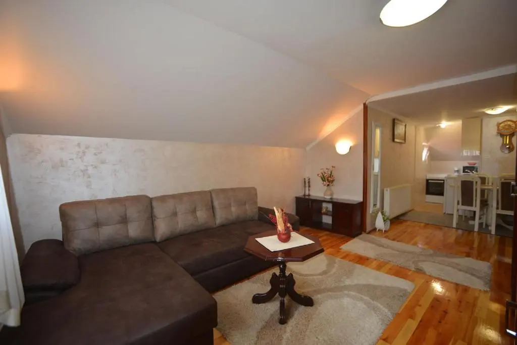 Apartment Vihor