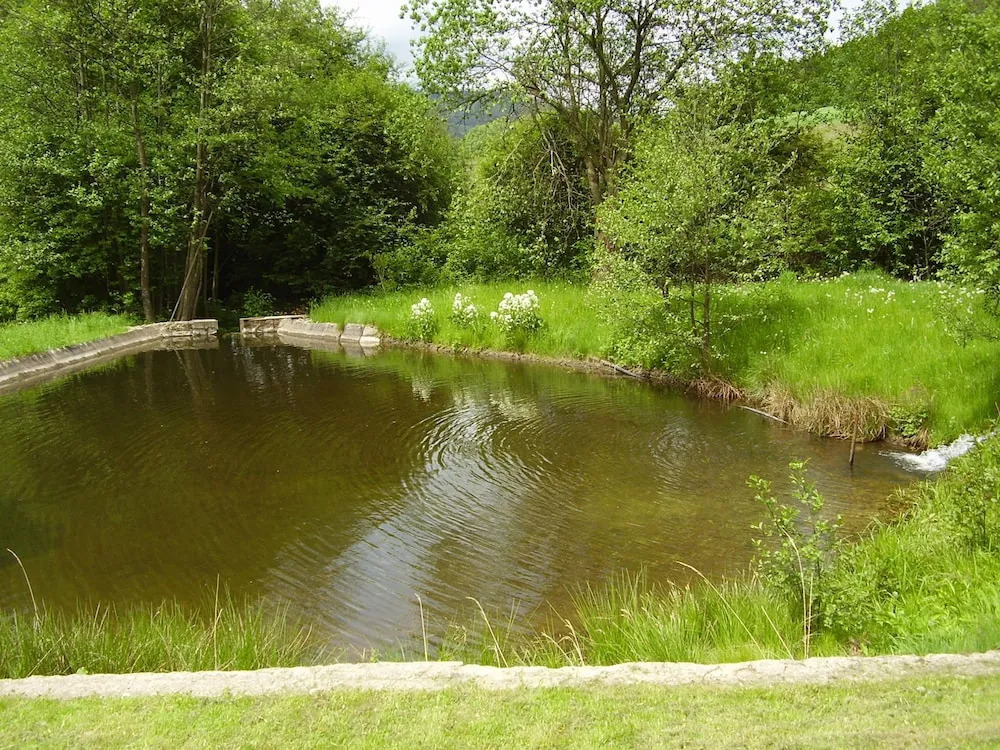 Ranch Eden, Jeseník