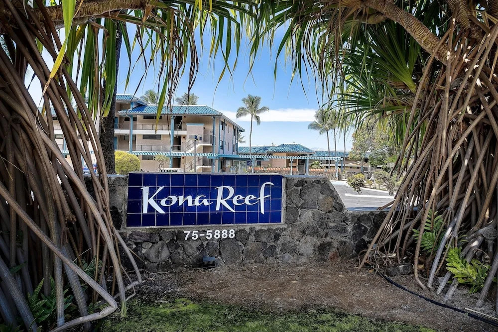 Kona Reef D32