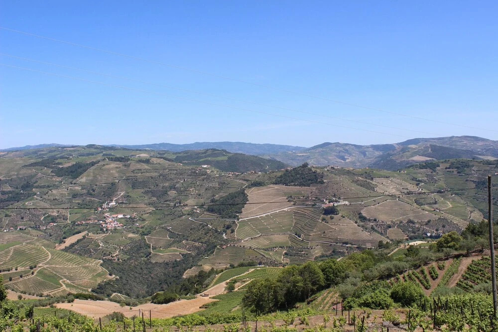 Casa Típica do Douro Vinhateiro, by Izibookings
