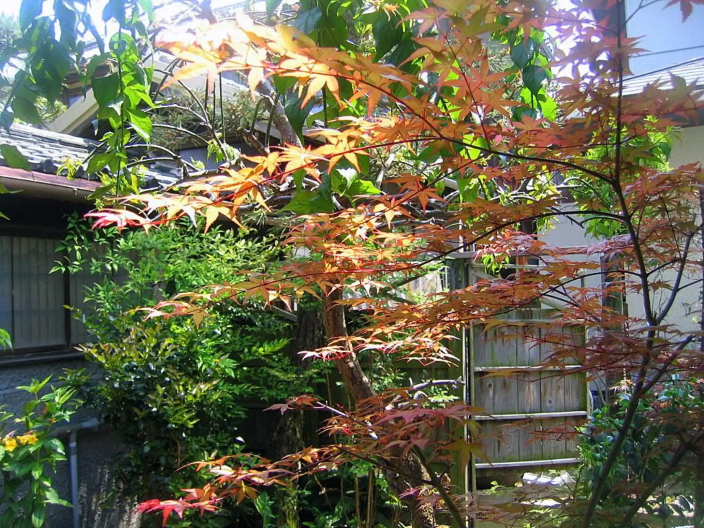 Ishiya Ryokan