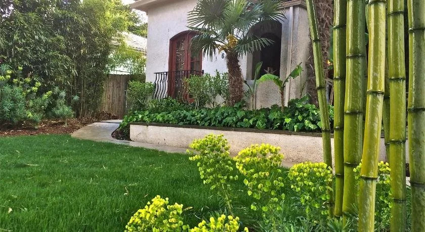 The Tropical Guesthouse