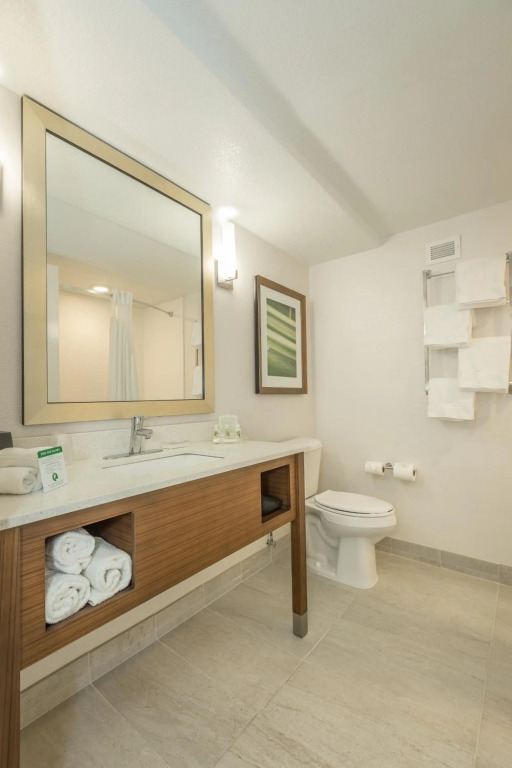 Holiday Inn Hotel and Suites Peachtree City by IHG