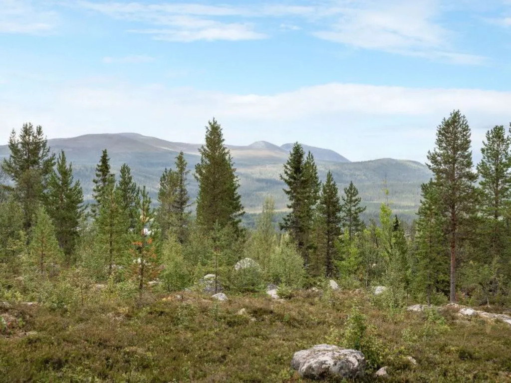 Lofsdalen Lavskrikan (HJD030)