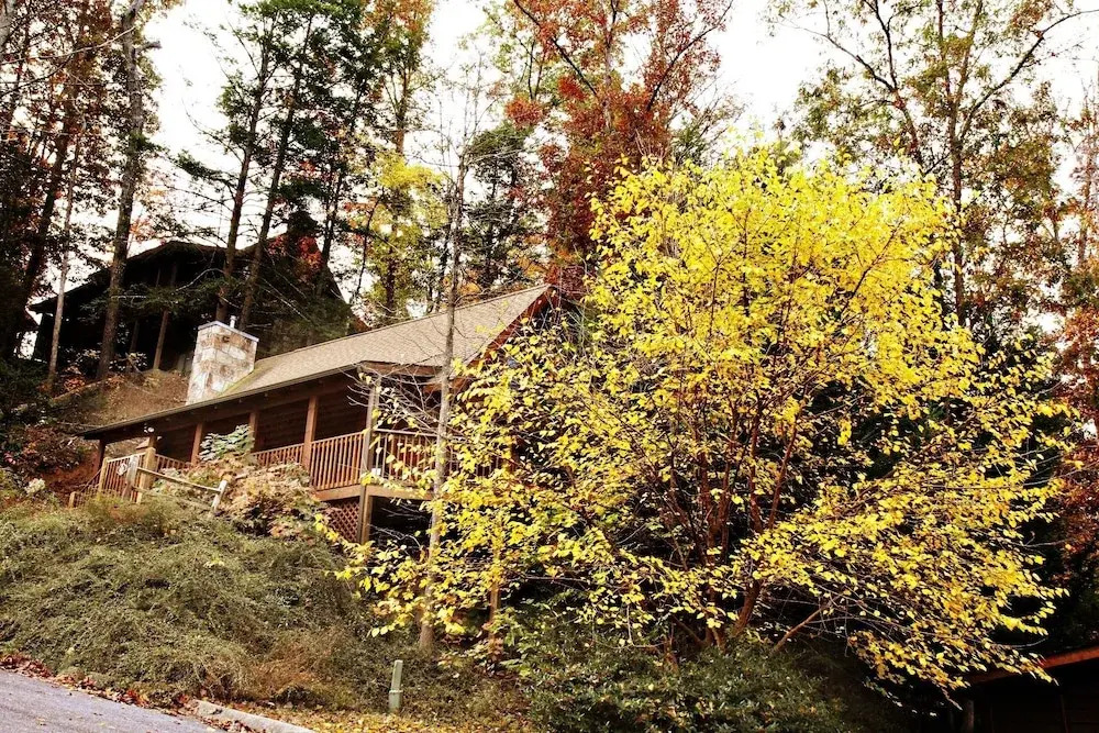 ER205 - Love Nest Great location - Close to town! cabin