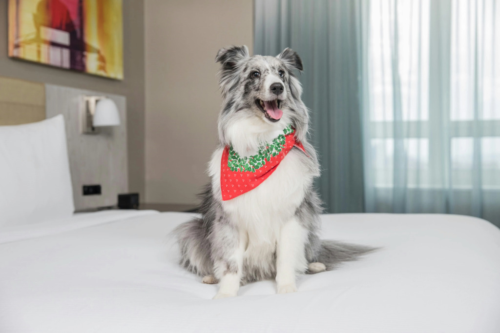Doubletree By Hilton New York Times Square West