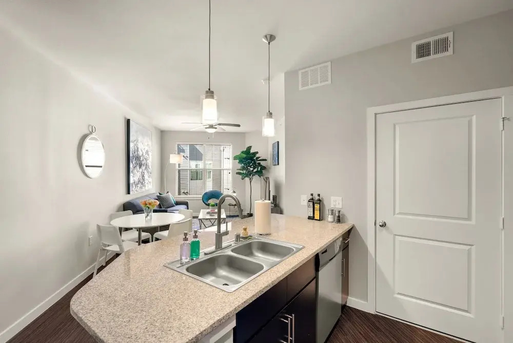 Dallas Beautiful 1BD 1BA Downtown Apartment