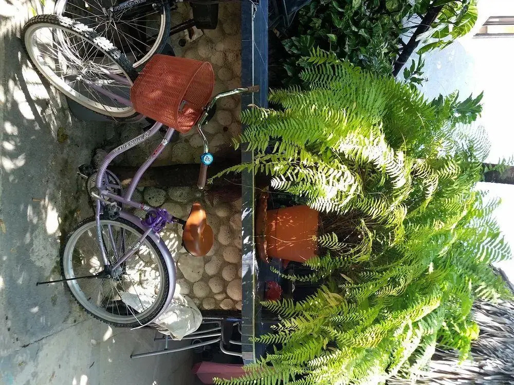 Rancho Tranquilo