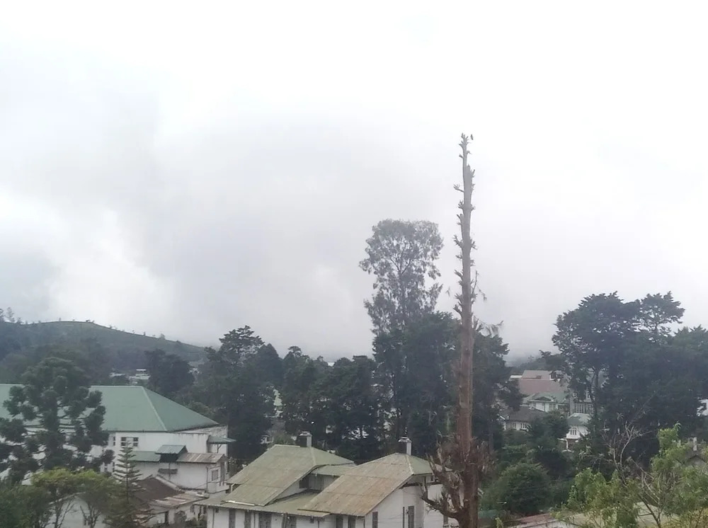 Oviya Guest Nuwara Eliya