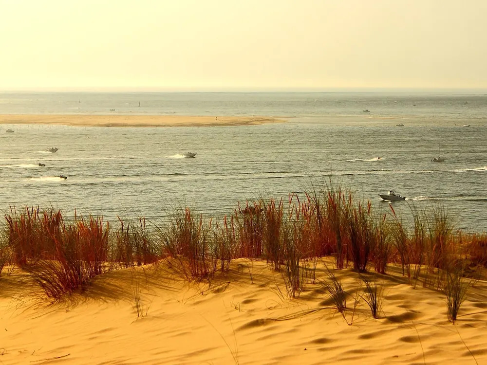 Poolside Escape by Arcachon