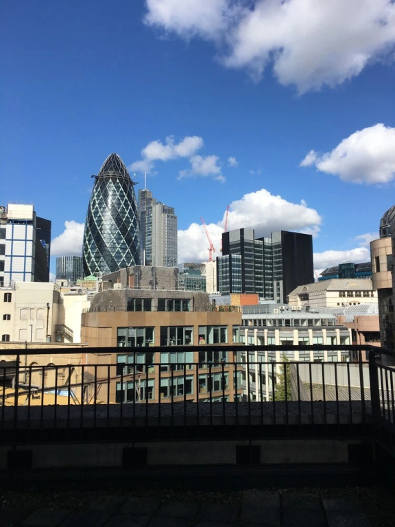 Still Life Tower Hill Executive