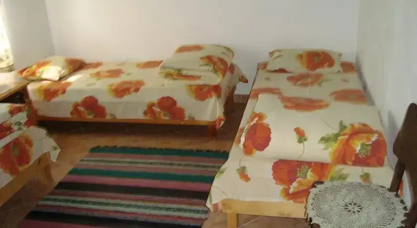 Moskito Guest House