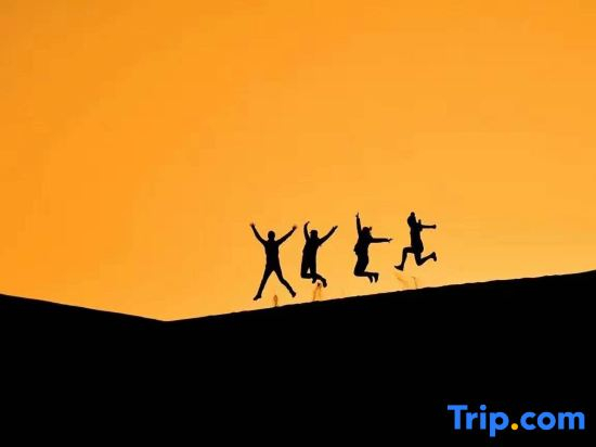 Shapotou Xingyue international camping base