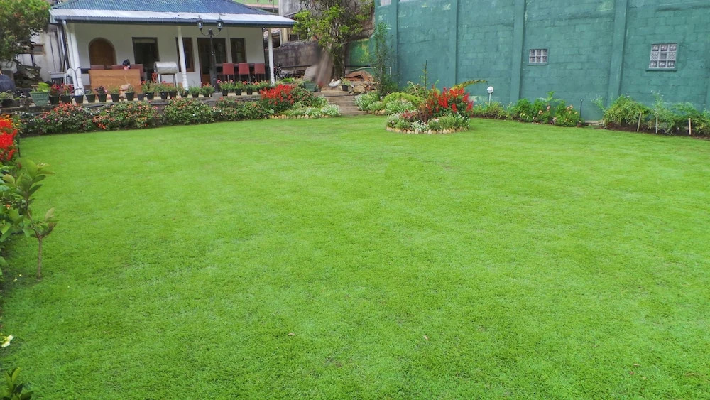 Oak Ray Golf Green