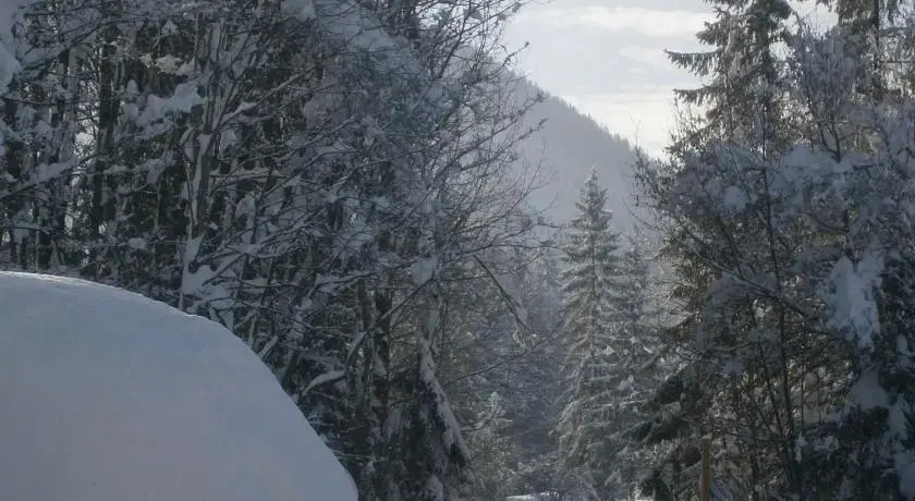 Ferienhaus Wildbachblick