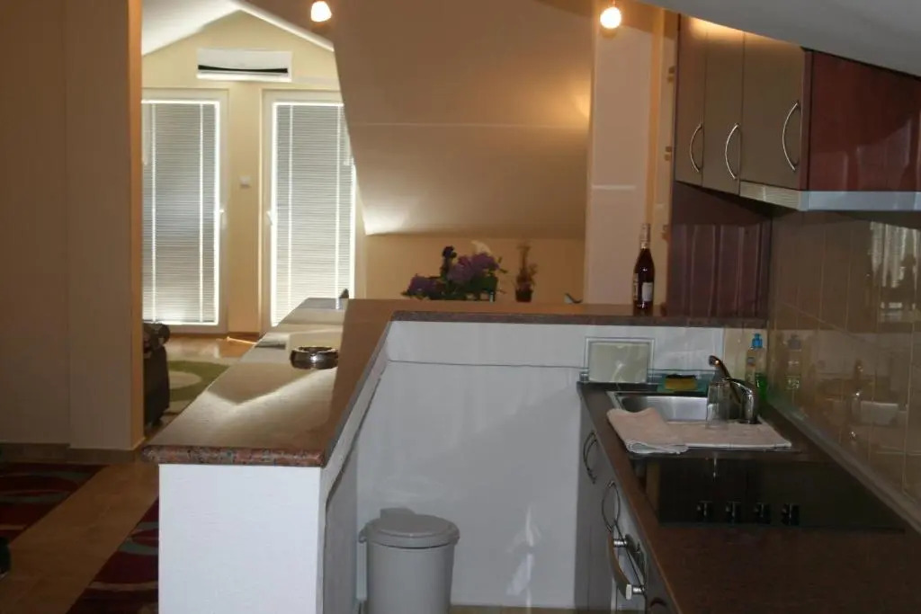Apartment Knezevic