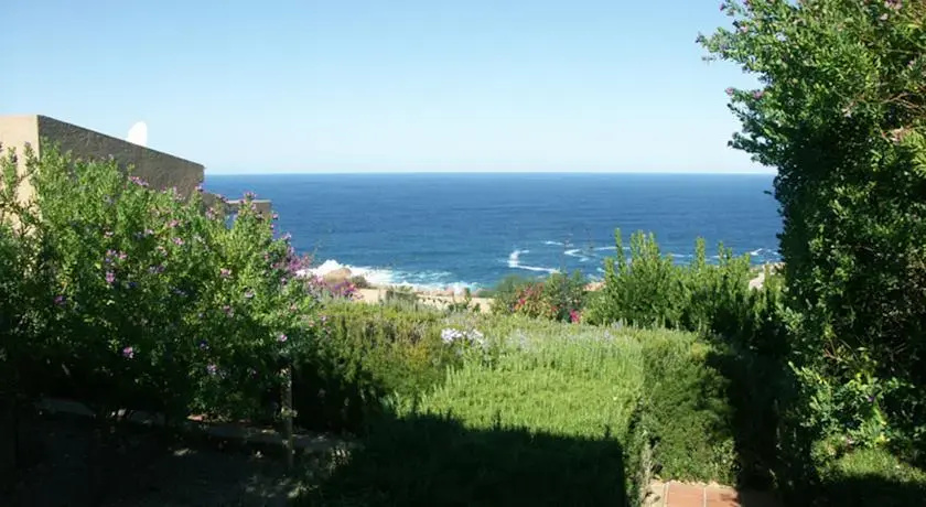 Coccole Di Mare