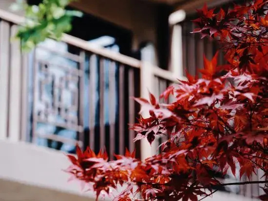 Joy Holiday Lijiang Hotel